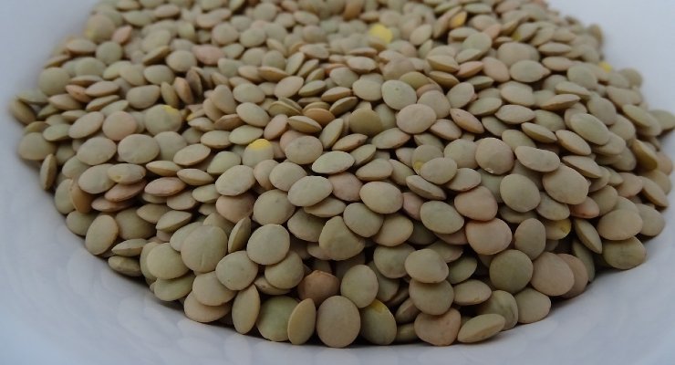Abono con avena y lentejas