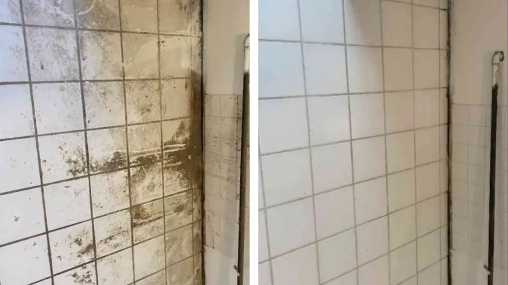 Cómo desengrasar los azulejos de la cocina, solo así eliminarás toda la suciedad – Mis Consejos Jardinería