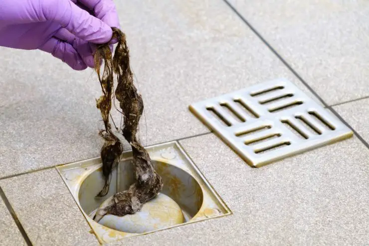¿Huele el desagüe de la ducha? ¡Resuelva el problema antes de que sea demasiado tarde! – Mis Consejos Jardinería