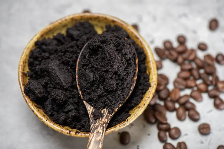 ¡Coloca los posos de café en un rincón de tu casa y resolverás este molesto problema para siempre! – Mis Consejos Jardinería