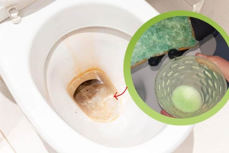 Se acabaron las manchas amarillas en el retrete: ¡el remedio infalible de mi abuela! – Mis Consejos Jardinería