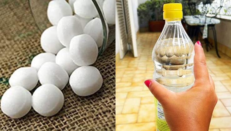 Bolas de naftalina y vinagre