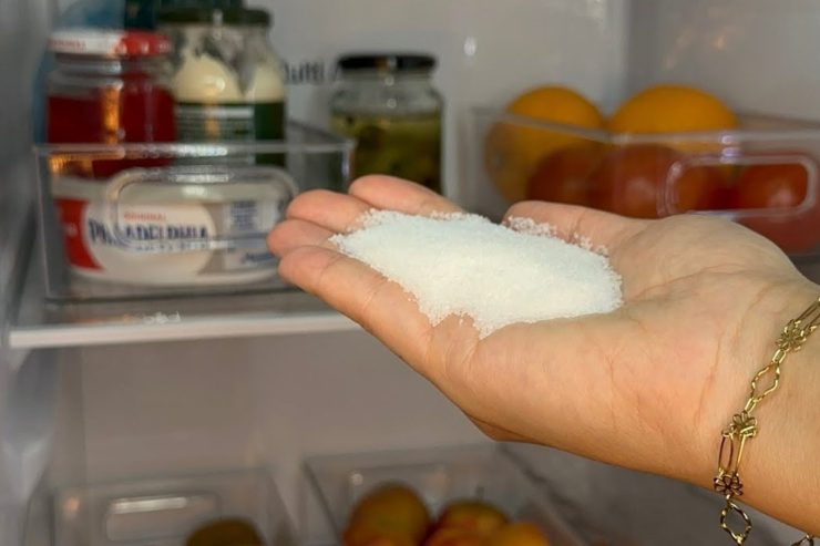 Si pones sal en la nevera obtendrás importantes beneficios. ¡Te preguntarás por qué no lo hiciste antes! – Mis Consejos Jardinería