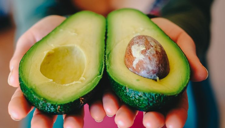 hueso de aguacate