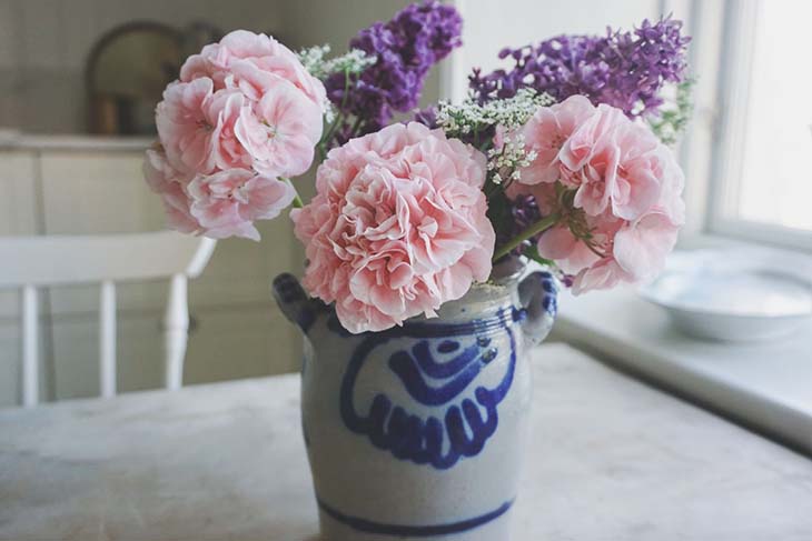 hortensias