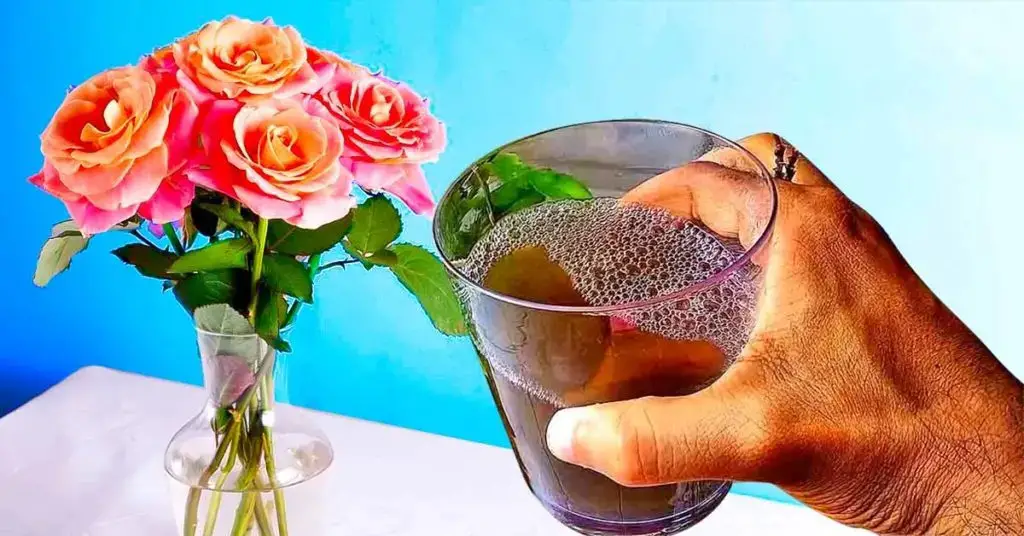 El consejo de los floristas para almacenar flores cortadas durante 1 mes o más – Mis Consejos Jardinería