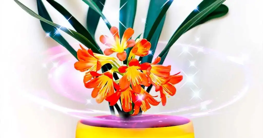 Esta planta es un imán de suerte: cuando florece, llegan buenas noticias a casa – Mis Consejos Jardinería