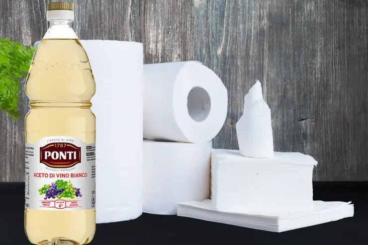 Papel higiénico y vinagre: ¡con esta sorprendente combinación lo desinfectas todo! ¡Es mágico! – Mis Consejos Jardinería