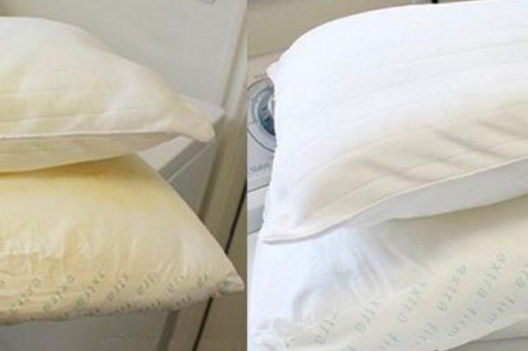 Fundas de almohada manchadas de sudor: ¡mi abuela me enseñó a blanquearlas así! – Mis Consejos Jardinería