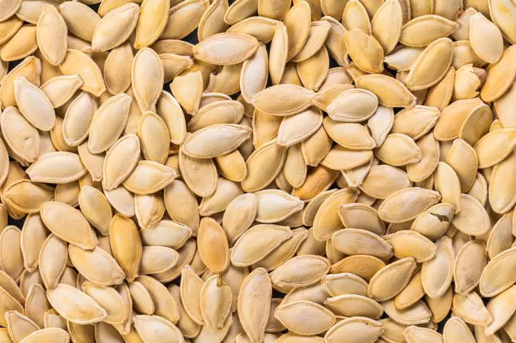 Semillas de calabaza: no las desperdicies, ¡puedes usarlas de 1000 maneras! – Mis Consejos Jardinería