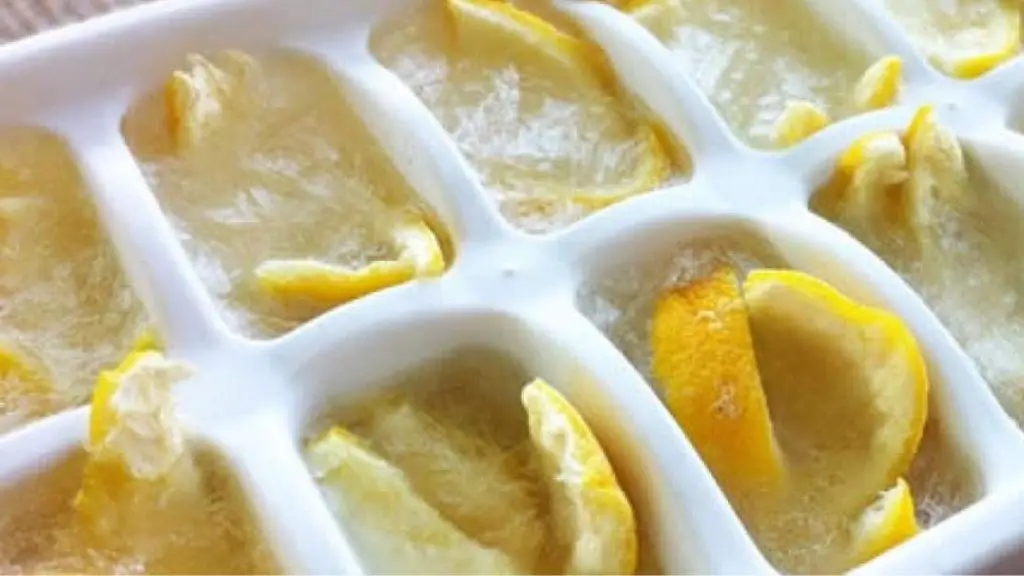 Limones, porque después de comprarlos los congelan todos: la sorprendente razón – Mis Consejos Jardinería