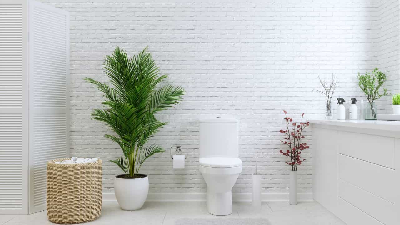Baño fresco y muy fragante.