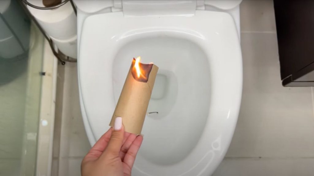 Quema el rollo de papel higiénico en el baño, no podrás prescindir de él – Mis Consejos Jardinería