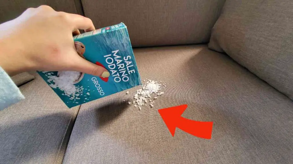 Echa un puñado de sal en el sofá, lo que pase te sorprenderá – Mis Consejos Jardinería