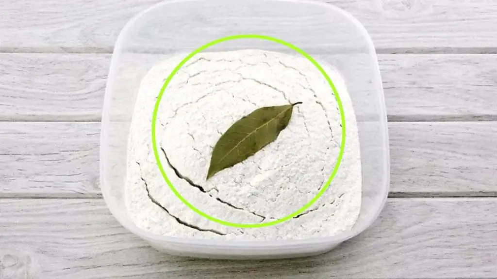 Hoja de laurel en harina, por qué utilizarla así: los beneficios – Mis Consejos Jardinería