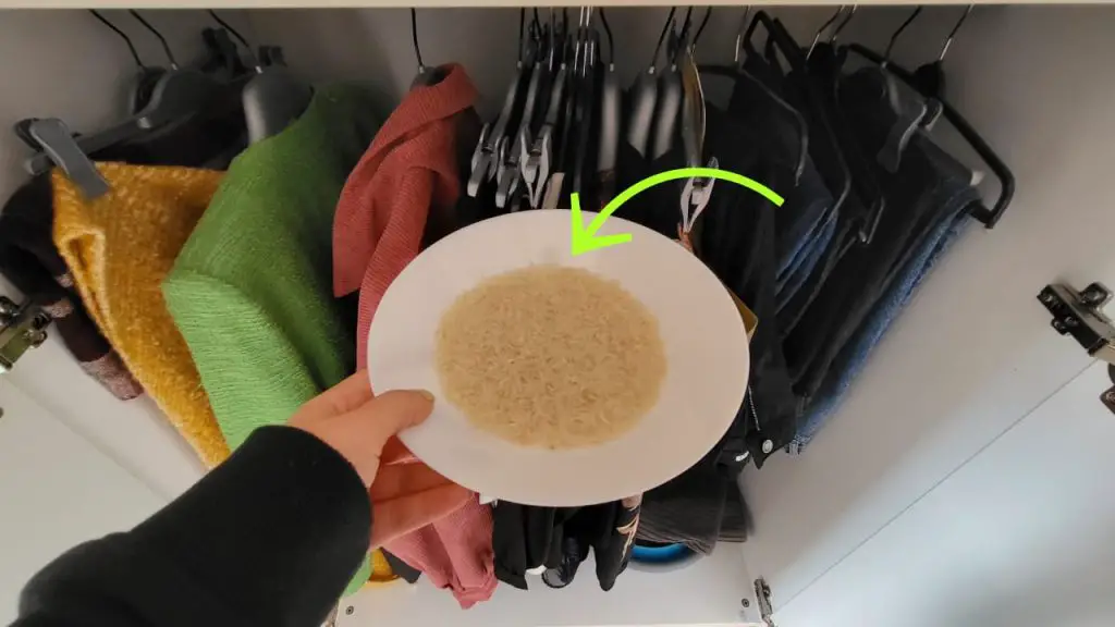 Cuenco de arroz en el armario, soluciona un problema que afecta a todos – Mis Consejos Jardinería