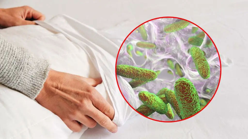 Fundas de almohada, llenas de gérmenes y bacterias: con qué frecuencia debes cambiarlas – Mis Consejos Jardinería
