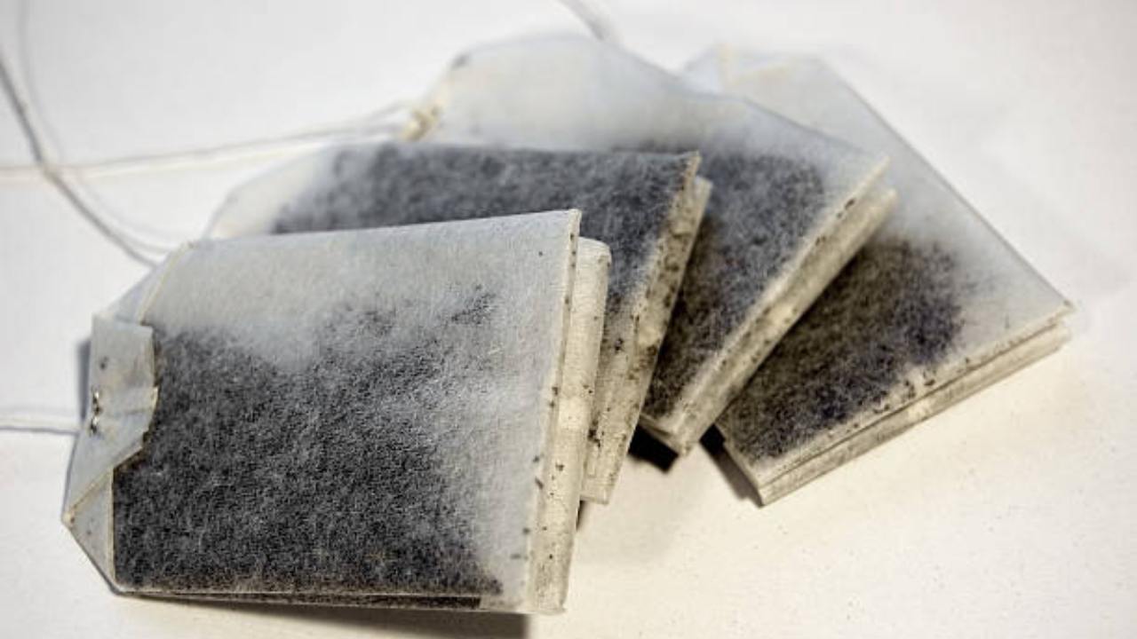 Bolsas de té