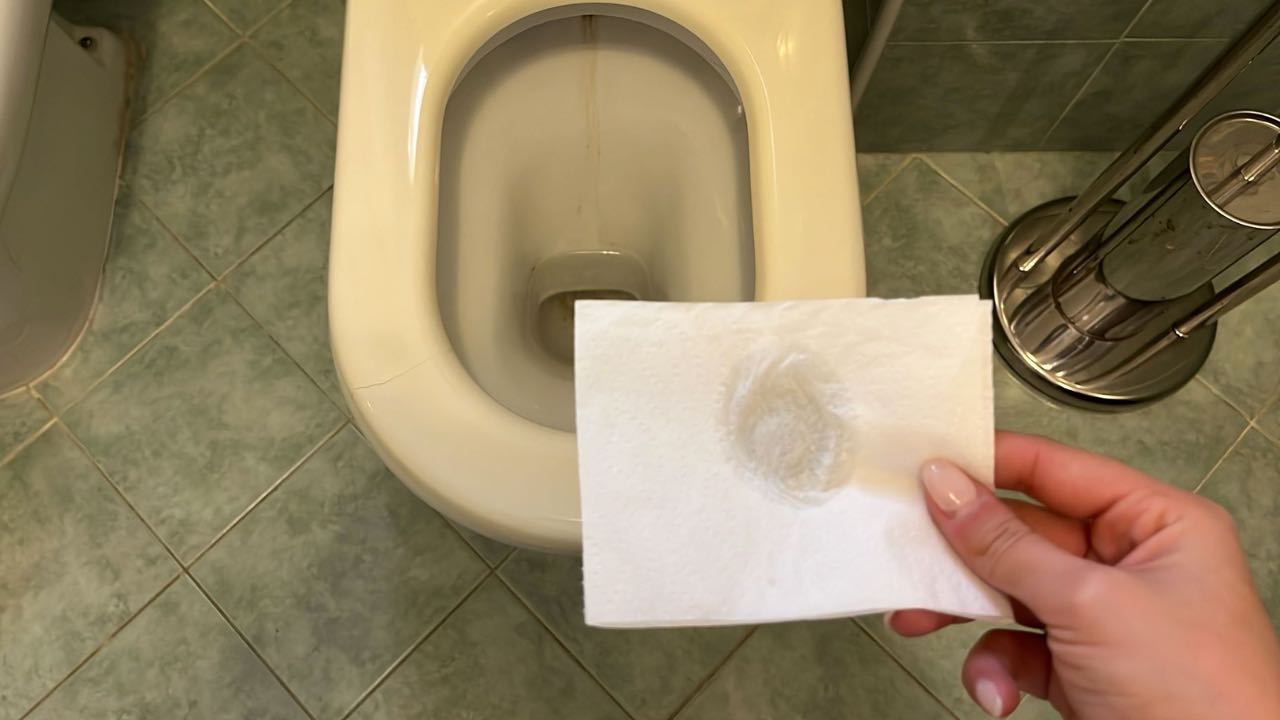 papel higiénico empapado