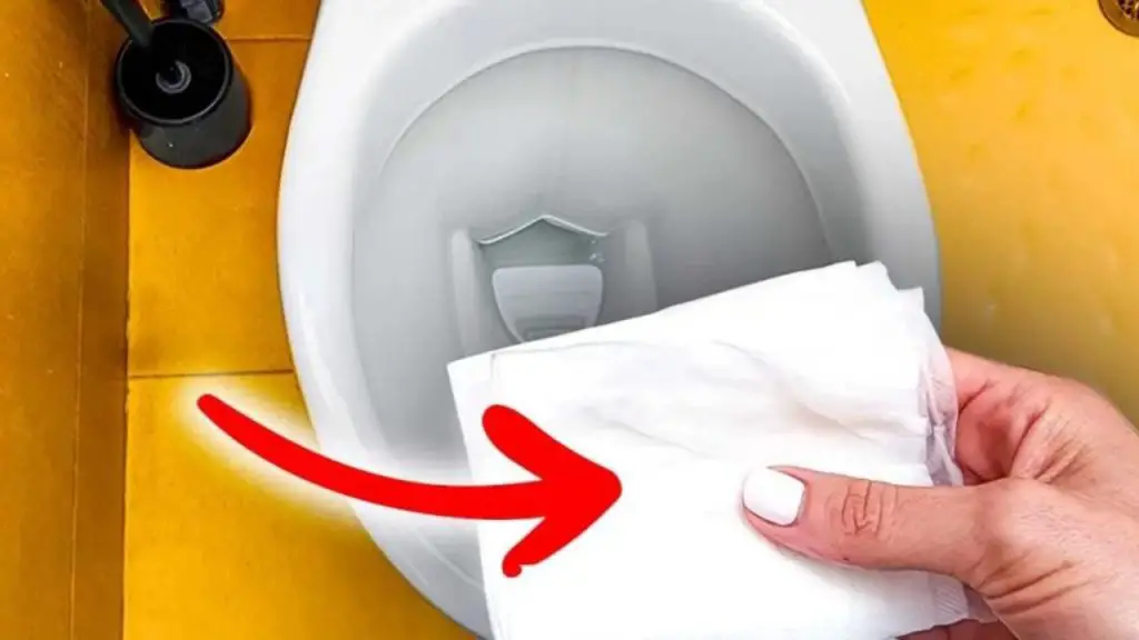 Papel higiénico empapado en vinagre en el inodoro, déjalo toda la noche y admira los resultados. – Mis Consejos Jardinería