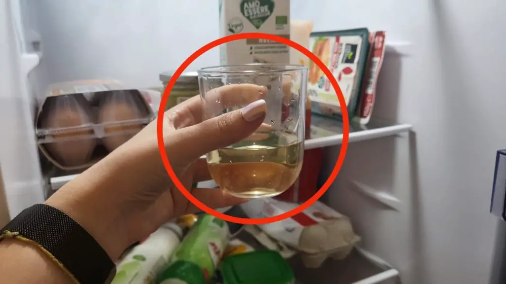El vinagre en el frigorífico es la solución a un problema común: esto es lo que es – Mis Consejos Jardinería