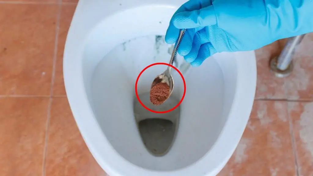 Posos de café en el baño, resultados instantáneos si lo intentas: que pasa – Mis Consejos Jardinería