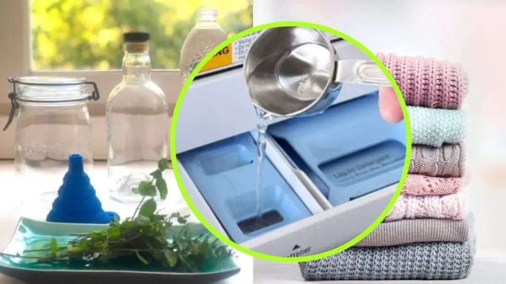 Suavizante casero, ropa con mucho aroma a menta: cómo prepararlo – Mis Consejos Jardinería