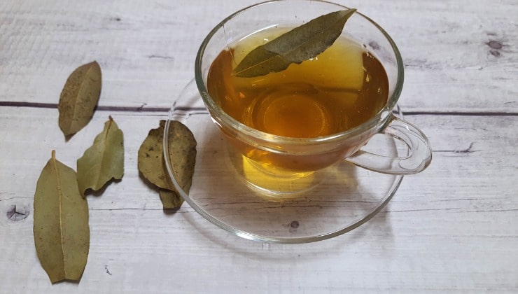 Infusión de hojas de laurel