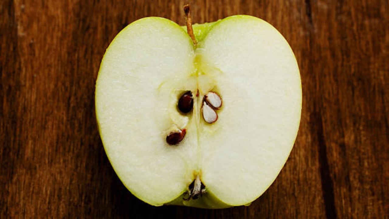 semillas de manzana
