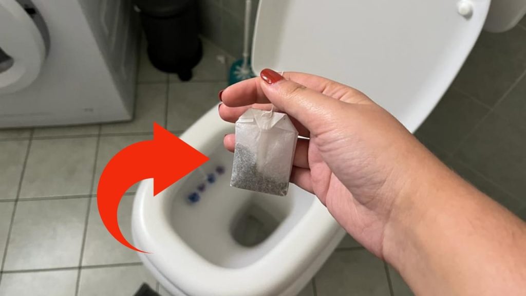 Bolsita de té en el inodoro, ¿por qué debería tirarla allí antes de acostarse? – Mis Consejos Jardinería
