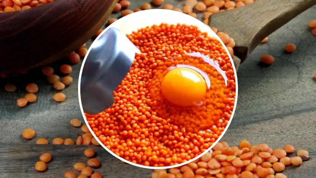 Lentejas y huevos, si los usas así no te imaginas lo que sale: una delicia única – Mis Consejos Jardinería