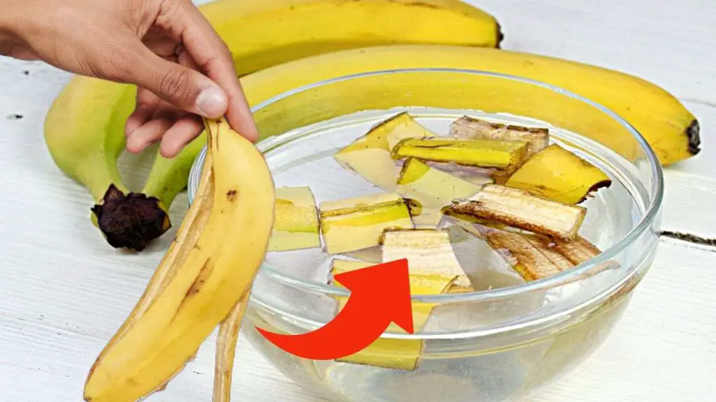Cáscaras de plátano, tirarlas es un gran desperdicio: para las amas de casa valen oro