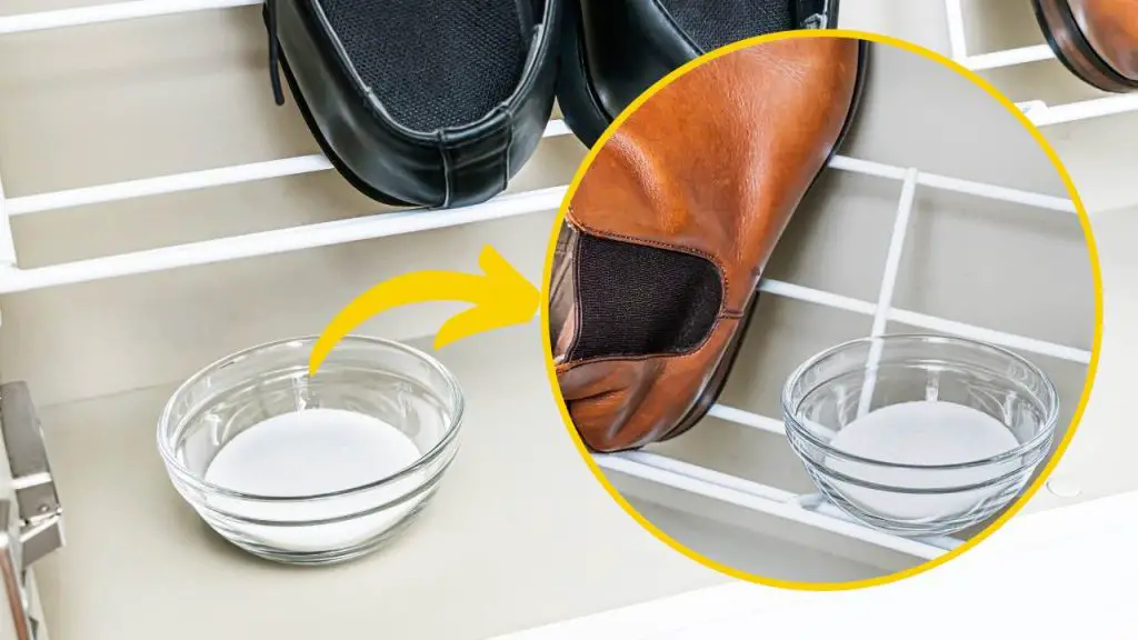 Bicarbonato en el zapatero, aquí te explicamos por qué tú también deberías empezar a hacerlo: impensable – Mis Consejos Jardinería