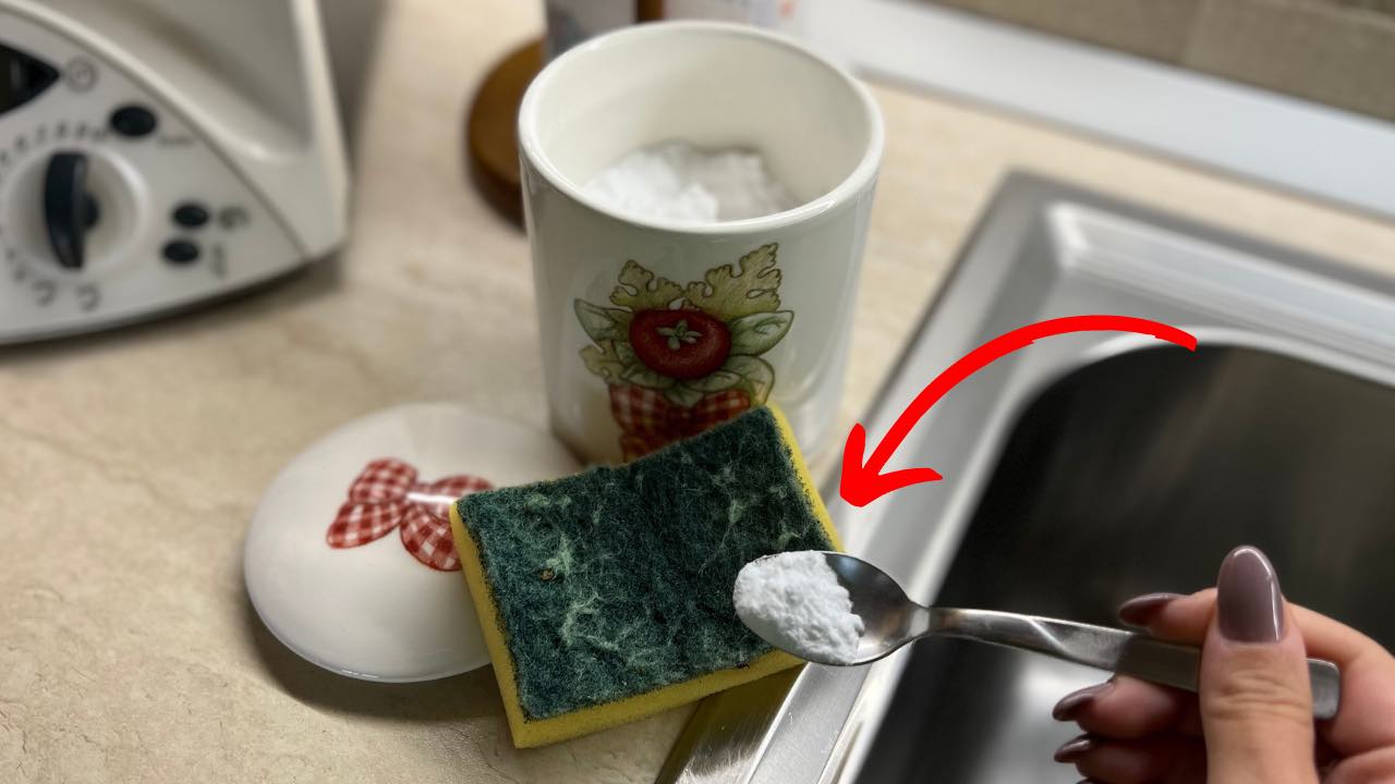 esponja de cocina sucia