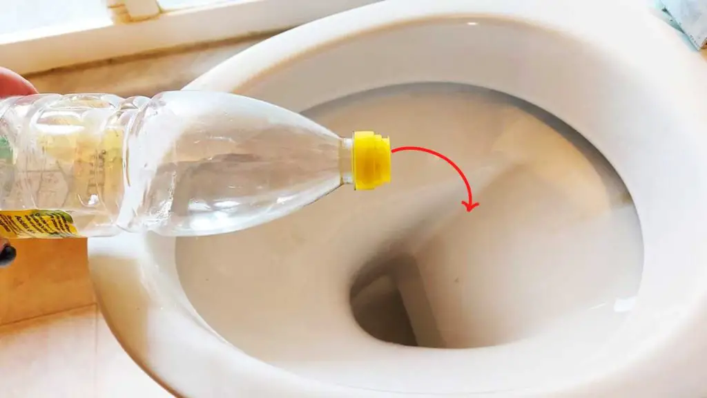 El vinagre en el baño soluciona un problema muy molesto: mucha gente lo hace – Mis Consejos Jardinería