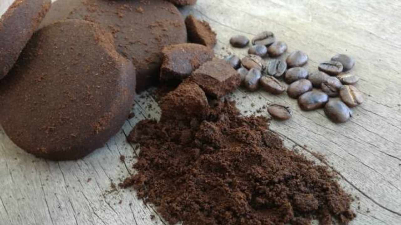 Granos de café