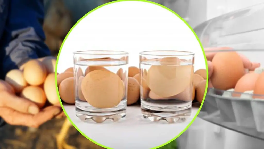 Huevos, sumergirlos en agua y ver: si esto sucede, desecharlos inmediatamente – Mis Consejos Jardinería