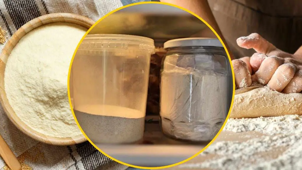 Harina en el congelador, este gesto muy sencillo te salva la vida en 1 minuto: pruébalo y verás – Mis Consejos Jardinería