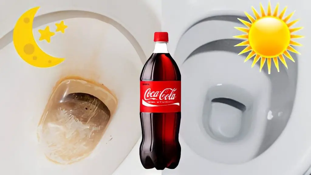 Vierte la Coca Cola en el inodoro y déjala toda la noche: por la mañana será nueva para ti – Mis Consejos Jardinería