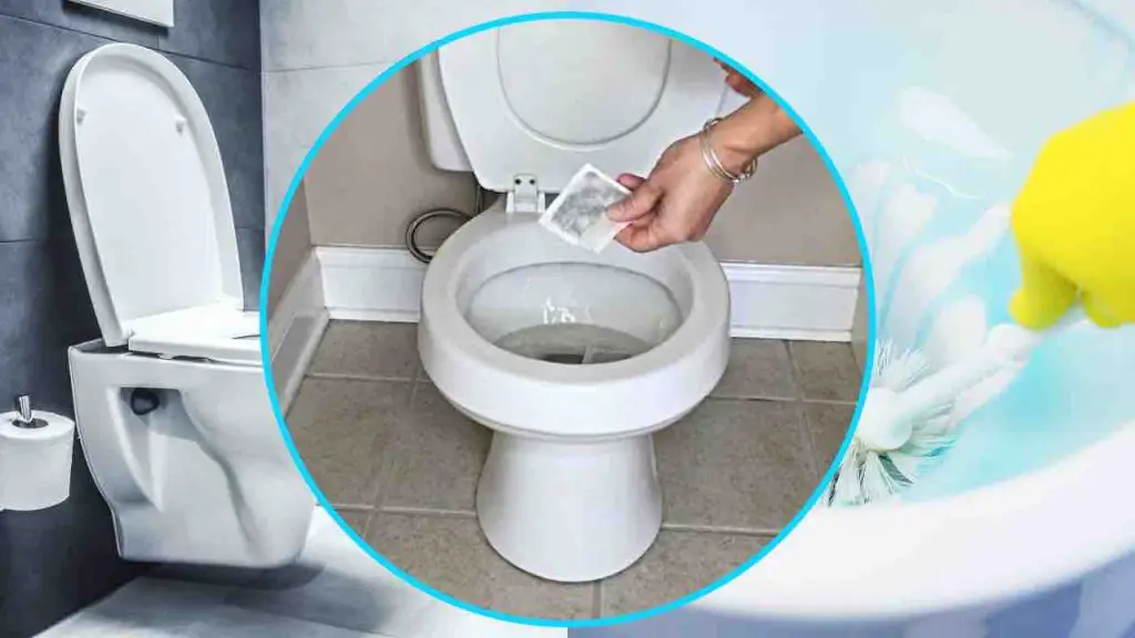 Bolsita de té en el inodoro, tírela todas las noches antes de acostarse: sucede lo impensable – Mis Consejos Jardinería