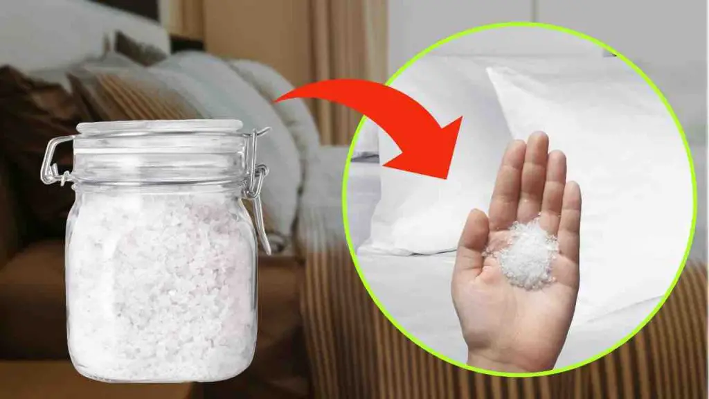 Sal gruesa en el dormitorio, date prisa y ponla debajo de la almohada: te cambia la vida – Mis Consejos Jardinería