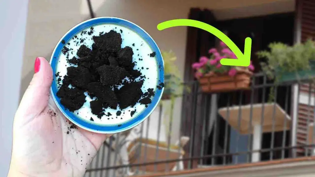 Posos de café en el balcón, porque todo el mundo lo hace en verano: soluciona un problema muy común – Mis Consejos Jardinería