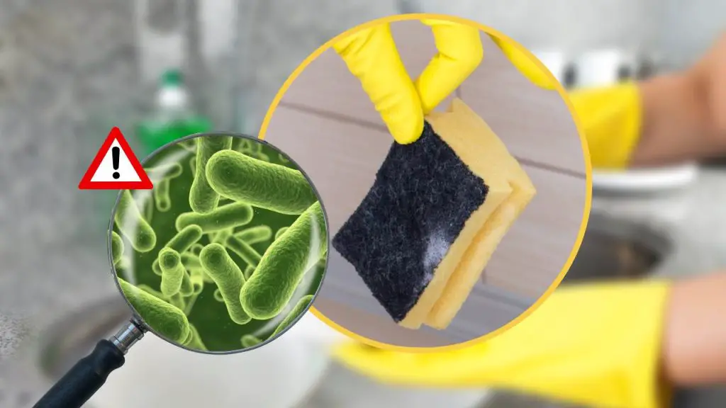 Esponja para platos llena de bacterias, más sucia que el inodoro: sólo así acabarás con ellas para siempre – Mis Consejos Jardinería