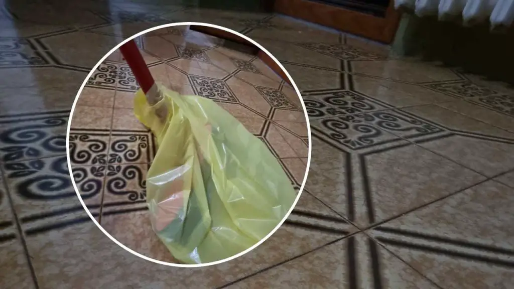 Ponle una bolsa de plástico a la escoba, lo hacen todas las amas de casa: algo más que aspiradoras – Mis Consejos Jardinería