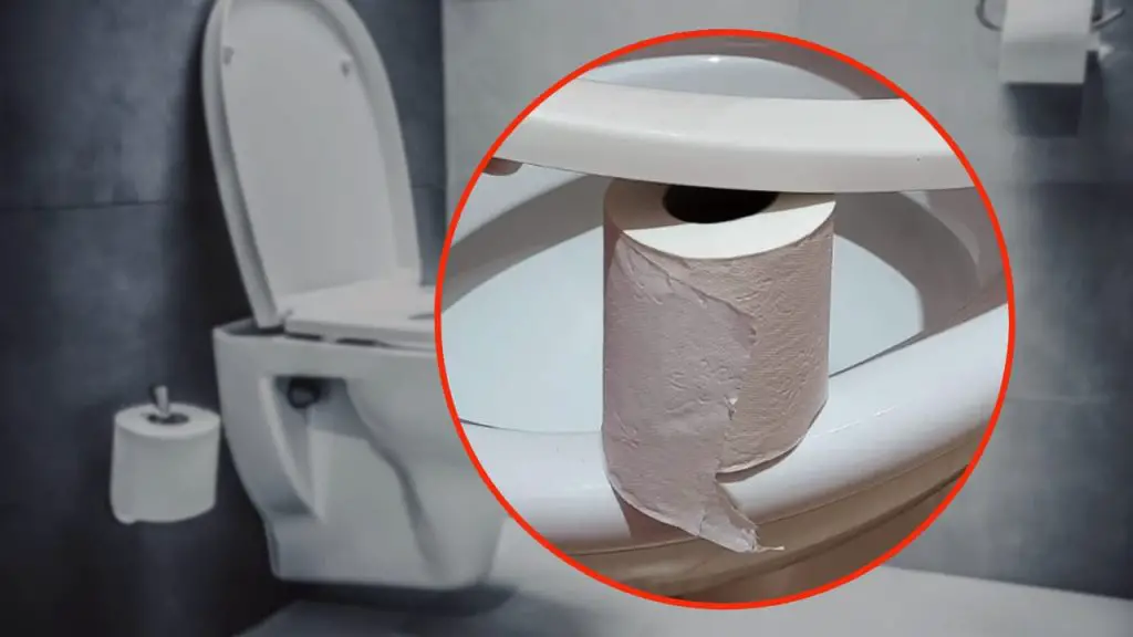 Papel higiénico en el baño, déjalo siempre así: el motivo es absurdo pero te salva la vida – Mis Consejos Jardinería