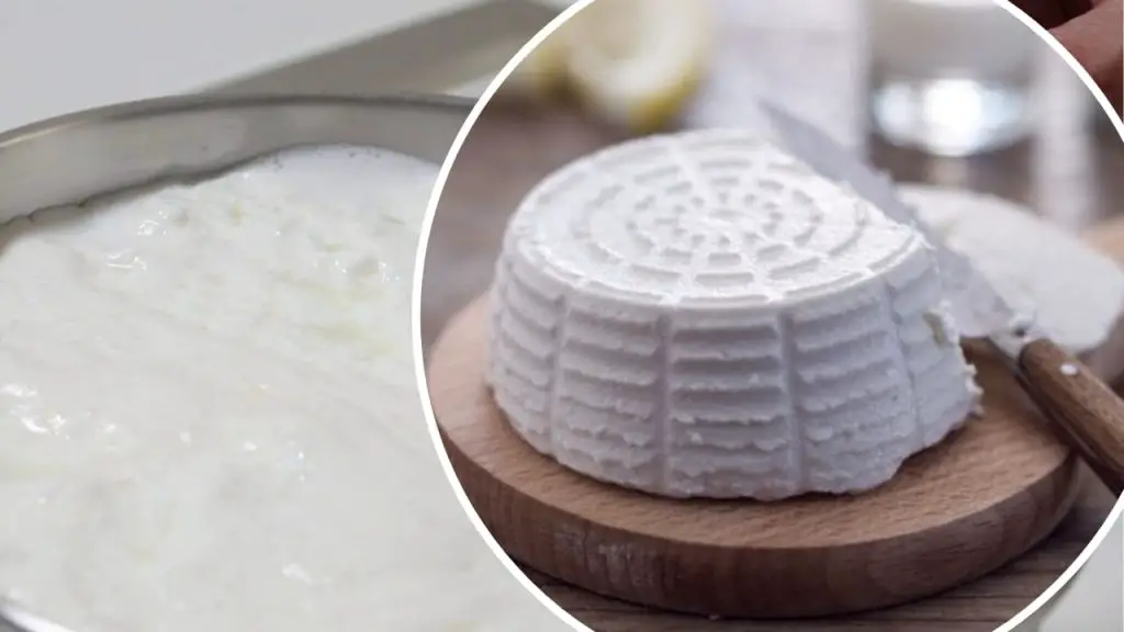 Combina la leche y el jugo de limón, lo que pasa después es increíble. – Mis Consejos Jardinería