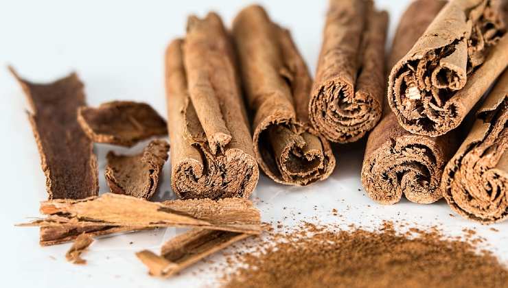 Condimenta canela para cada flor del jardín