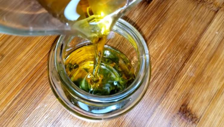 Aceite de oregano