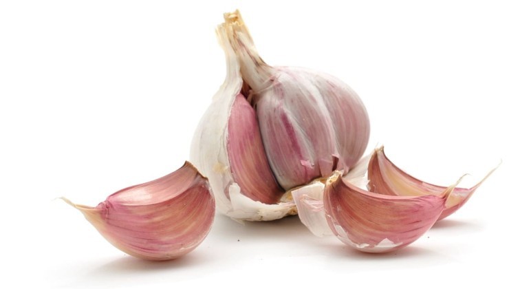 Dientes de ajo