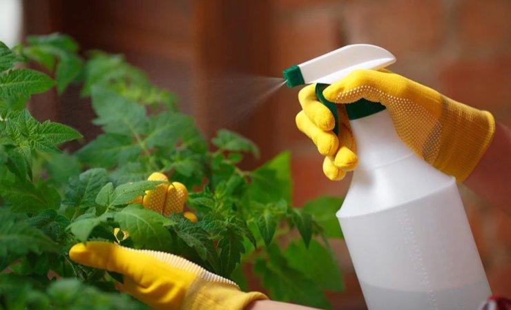 Leche y bicarbonato en las plantas